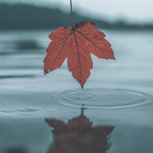 深圳妈妈15-20章读书笔记
