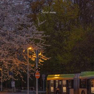 色妺妺在线视频
